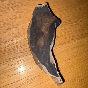 Petrified wood #18